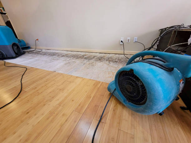 Professional Sewage Cleanup technician working in Mauldin, SC